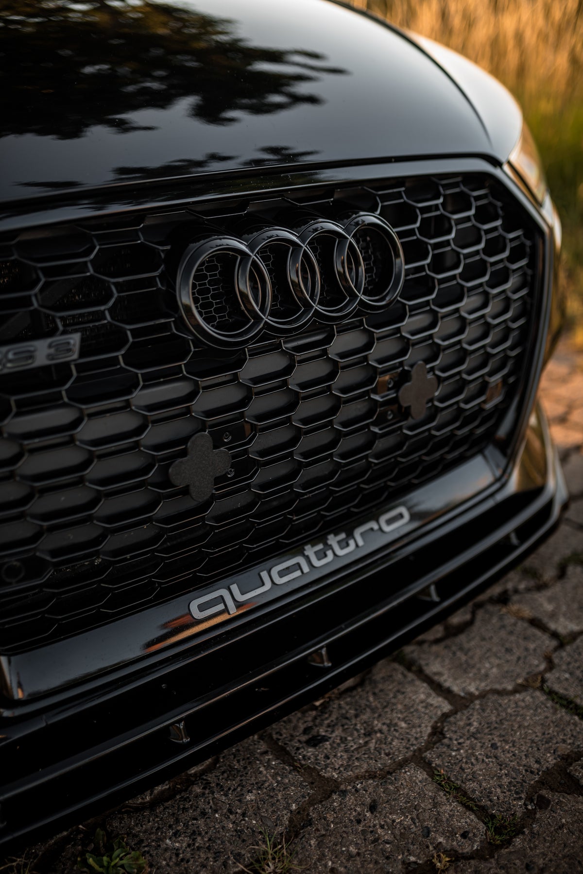 3D Druck Kennzeichenhalter für Audi RS6 4G Wabengrill Klemmung
